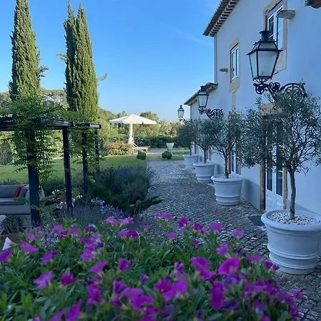 Quinta Dos Pegoes Tomar