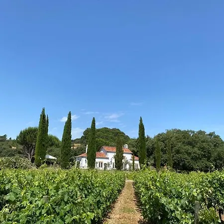 Quinta Dos Pegoes Villa