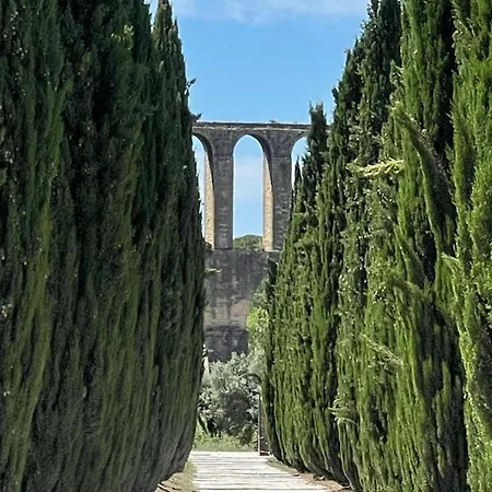 Quinta Dos Pegoes Tomar