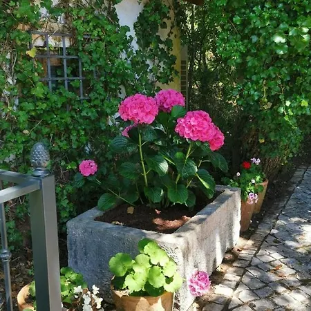 Villa Quinta Dos Pegoes Tomar