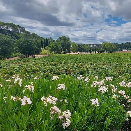 Quinta Dos Pegoes 别墅 *