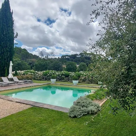 Quinta Dos Pegoes Villa *