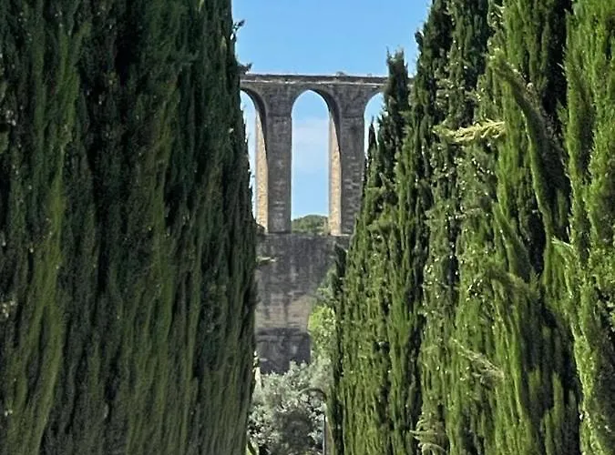 Quinta Dos Pegoes Tomar