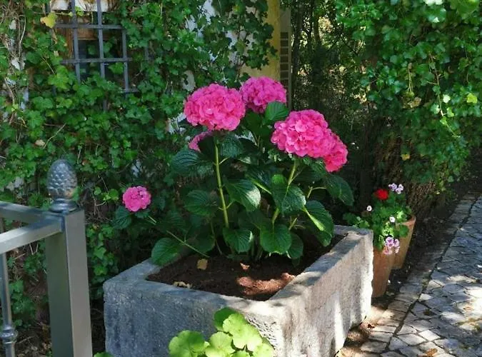 Villa Quinta Dos Pegoes Tomar