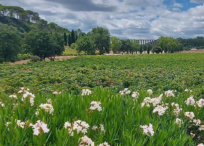 Quinta Dos Pegões Villa *